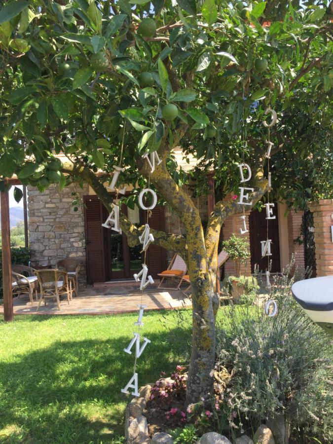 B&B La Nonnina Del Cilento Casal Velino Extérieur photo